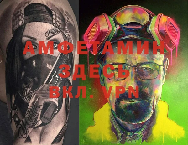 ПСИЛОЦИБИНОВЫЕ ГРИБЫ Новозыбков